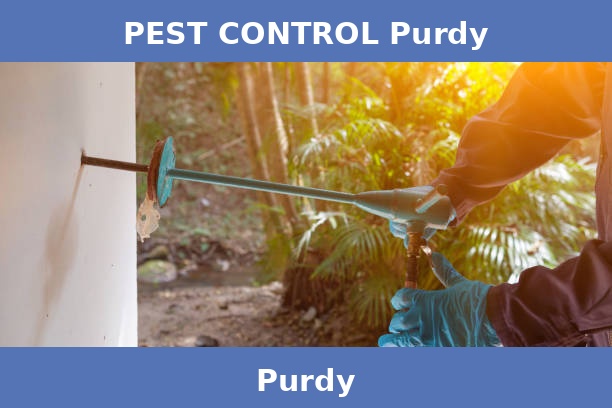 PEST CONTROL Purdy